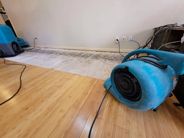 Professional Burst Pipe Water Damage technician working in Ettrick, WI
